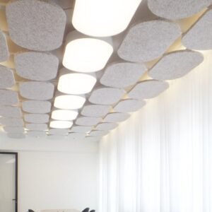 Conference room for Riesmer Pharma